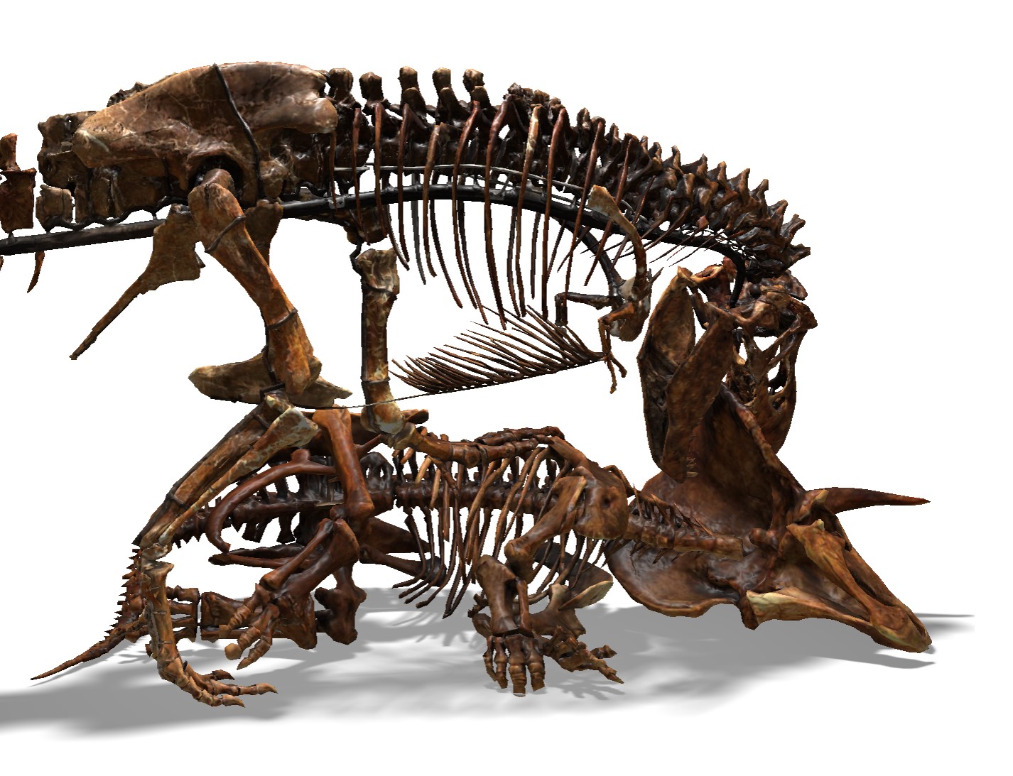 A new old home for the nation's dinosaurs