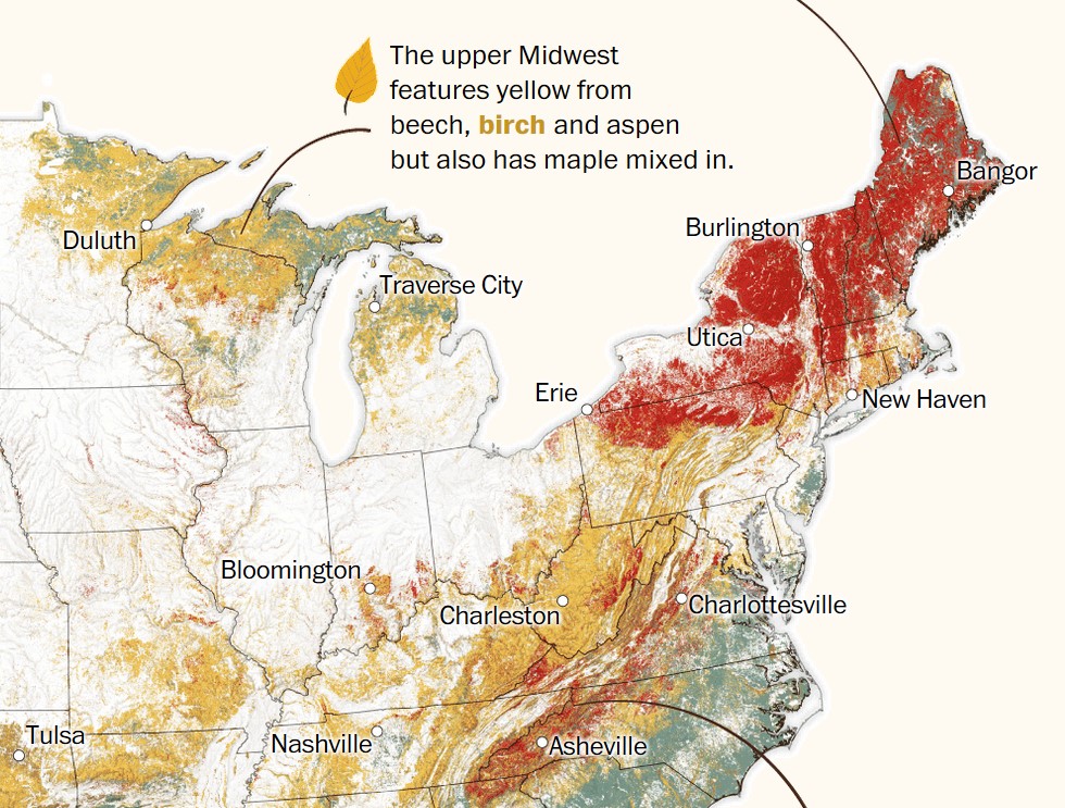 Fantastic fall foliage … and where to find it