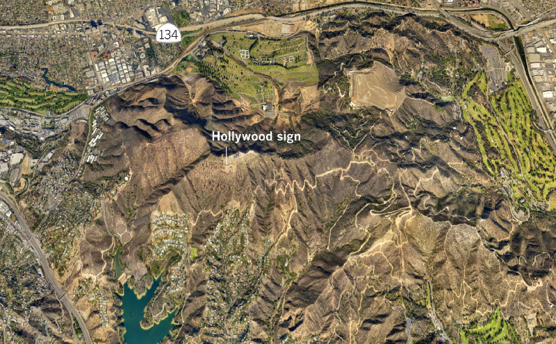 A week in the life of P‑22, the big cat who shares Griffith Park with millions of people